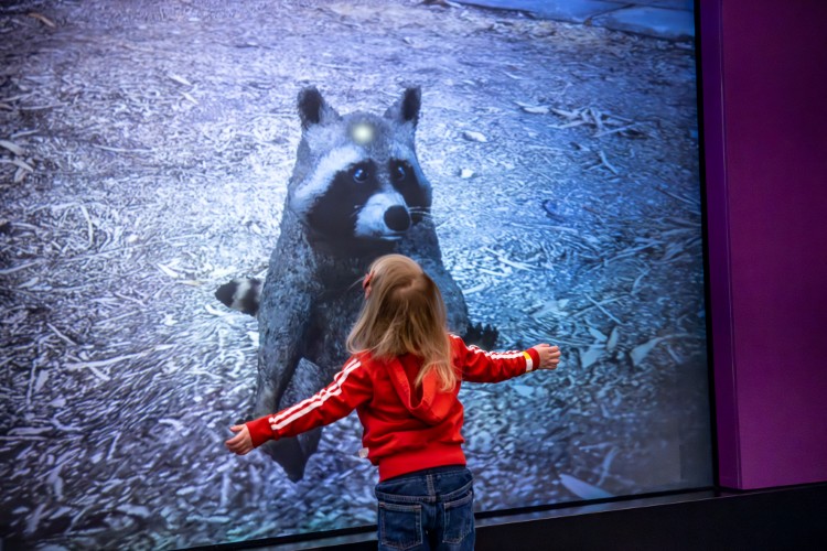 The Evolving Life Wing